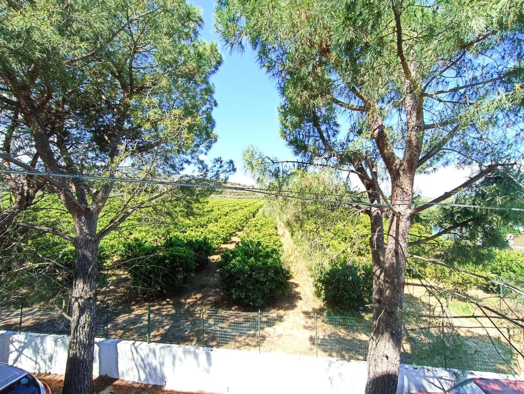 B&B Casa Gabriele Rossano Εξωτερικό φωτογραφία